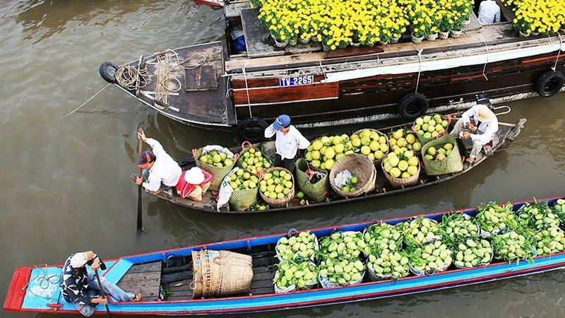 附图。（玉梅 摄）