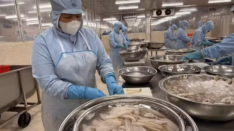 附图：第一季度越南水产品出口增长8%。