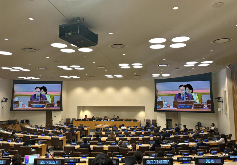 联合国大会上周通过了关于筹备防控疫情高级别会议的决议。图为会议场景。（图片来源：越通社）