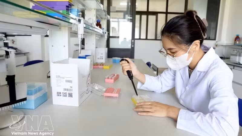 泰平种子集团股份公司应用科技开展高产优质农作物新品种研发。（图片来源：越通社）