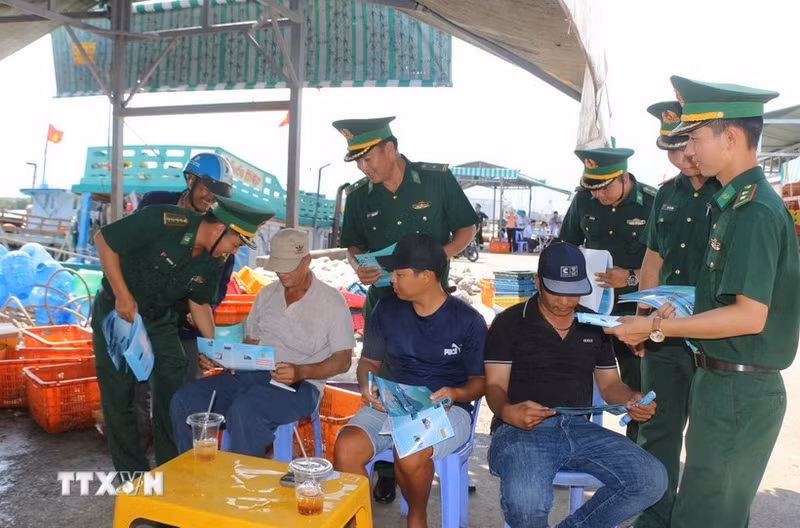 金瓯省加强渔业监管 合力解除IUU“黄牌”警告。