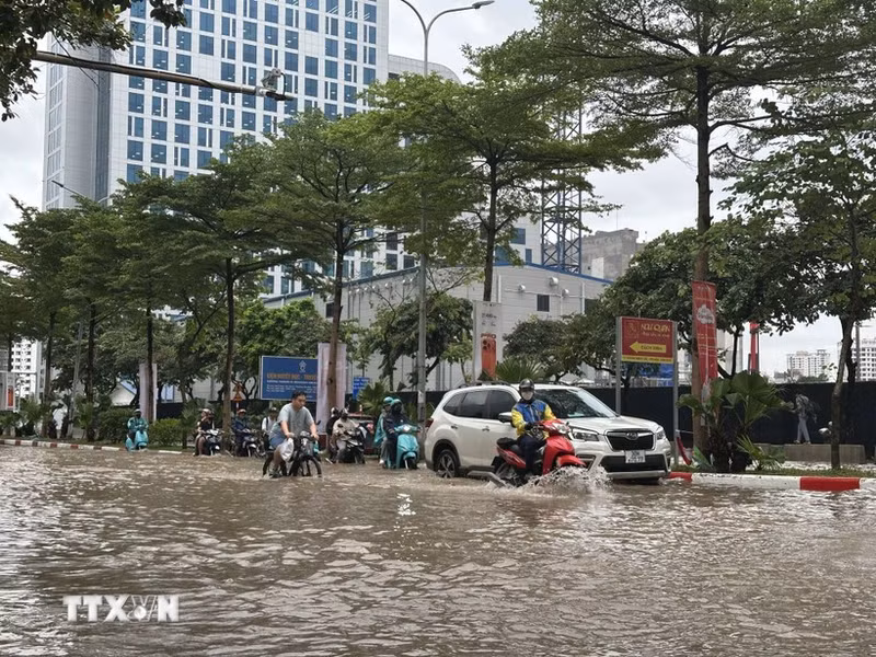 附图。（图片来源：越通社）