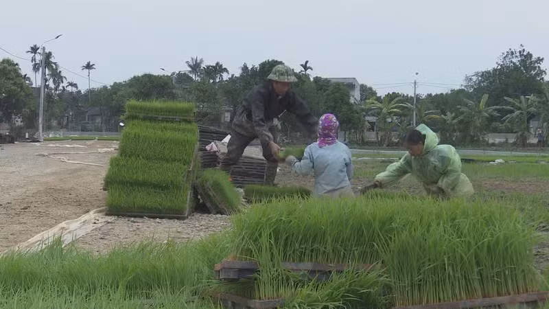 附图。