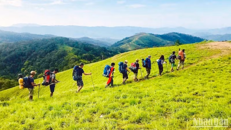 游客体验越南斜能（Tà Năng）徒步旅游线路。（梅文宝 摄）
