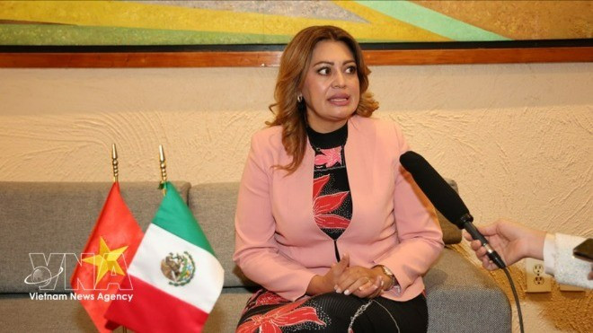 墨西哥劳动党议员、众议院福利委员会主席、墨越友好议员小组主席安娜·卡琳娜·罗霍·皮门特尔接受越通社驻墨西哥记者采访。（图片来源：越通社）