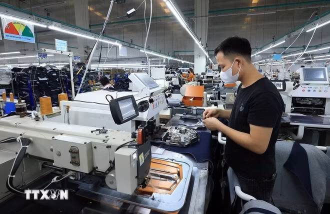 附图。（图片来源：越通社）