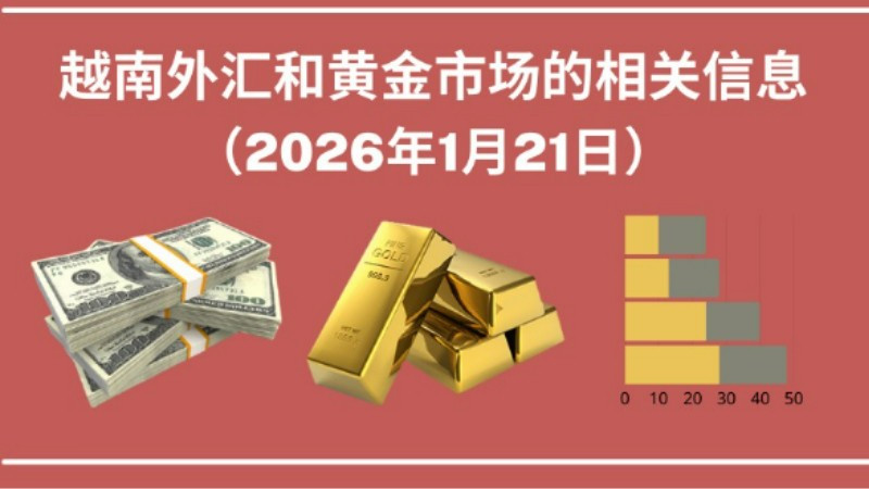 越南外汇和黄金市场的相关信息【图表新闻】