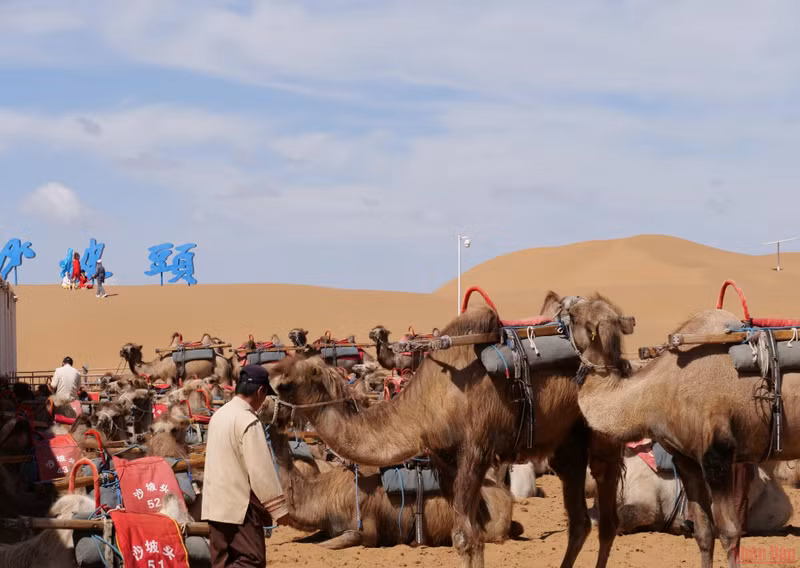 中国腾格里沙漠 ảnh 4