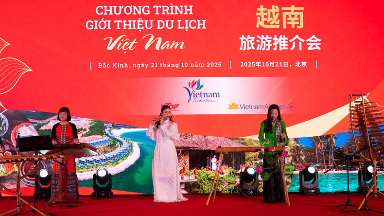 来自越南的艺术演员表演传统乐器节目。 a06-p2416440-1.jpg