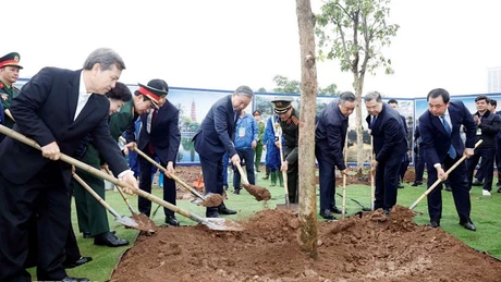 越共中央总书记苏林出席“世世代代铭记胡志明主席功勋”植树节启动仪式。
