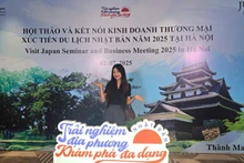 目前，越南在日本主要游客来源市场中位列第十。