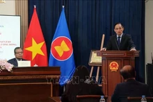 越共中央总书记苏林特使、越共中央政治局委员、越南外交部长黎怀忠通报越南共产党第十四次全国代表大会的成果。（图片来源：越通社）