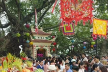 大年初一的清晨，河内民众争相前往寺庙烧香拜佛。（图片来源：越通社）