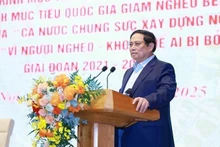 越南政府总理范明正发表讲话。(图片来源:越通社)