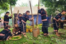 波来古市邑村已成为与嘉莱族文化保护相结合的社区旅游示范村。