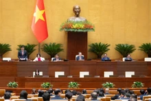 越南第十五届国会第十次会议通过了《国际金融中心专门法院法》。