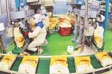 天禄集团股份公司工人正在包装出口大米。