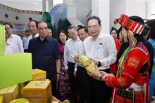 国会主席陈青敏和原越共中央总书记农德孟参观当地产品展会。（图片来源：越通社）