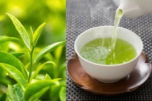 附图。（图片来源：thuonghieusanpham.vn）
