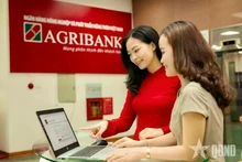 越南农业与农村发展银行（Agribank）工作人员引导客户在数字化渠道进行安全交易。（图片来源：人民军报）