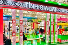 嘉莱省展区。（图片来源：越通社）