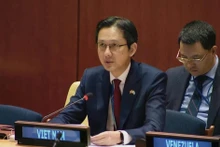 越南常驻联合国代表团团长杜雄越大使发表讲话。（图片来源：越通社）