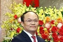 越南驻西班牙大使段青双。(图片来源:越通社)