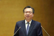 越共中央委员、中央政策与战略部长阮青毅在会上作报告。（图片来源：越通社）