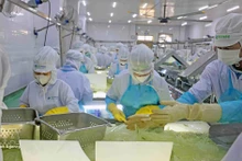 VietFarm芦荟生产线。（图片来源：越通社） 