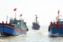 广义省渔民的渔船队。（陈梅 摄）