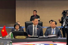 越南外交部副部长邓黄江。