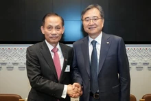 越南外交部代理部长黎怀忠会见了韩国外长赵贤。