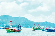 昆岛码头上，渔民的船只往来穿梭，一派繁忙景象。（范梦 摄）