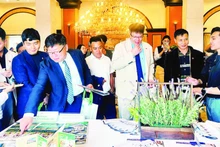 韩国合作伙伴了解林同—大叻旅游发展情况。