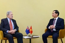 越南政府副总理兼外交部长裴青山会见新西兰外长彼得斯。（图片来源：越通社）