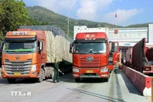 加快农产品出口通关手续办理速度。(图片来源:越通社)