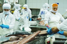 水产品是对美洲地区出口增长最为强劲的行业之一。（南英 摄）