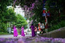 河内市一角。（成达 摄）