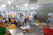 前 10 个月，越南水产品出口额约达 93.1 亿美元，同比增长约 12.9%