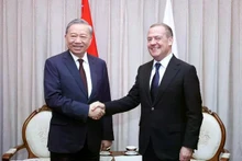 越共中央总书记苏林会见统一俄罗斯党主席、俄罗斯联邦安全会议副主席梅德韦杰夫。(图片来源:越通社)