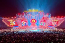 庆祝越共第十四次全国代表大会圆满成功的特别文艺节目。