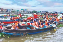 芹苴丐冷水上市场的美食体验吸引着国内外游客。