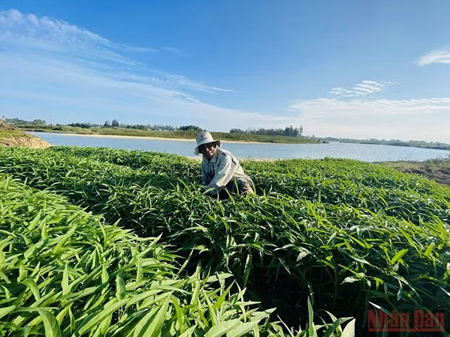 城市中心的“游牧”生活（组图） ảnh 4