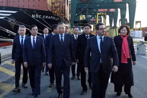 越共中央总书记、国家主席苏林考察比利时安特卫普—布鲁日港。（图片来源：越通社）