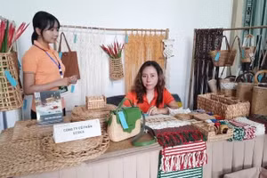 在胡志明市展示的绿色产品。
