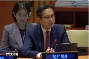 越南常驻联合国代表团团长杜雄越大使在会上发言。（图片来源：越通社）