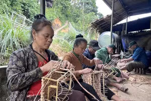 水葫芦编织业帮助改善乂安安那山区民众生活。（图片来源：越通社）