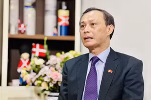 越南前驻丹麦大使梁青毅（2022—2025年任期）。（图片来源：越通社）