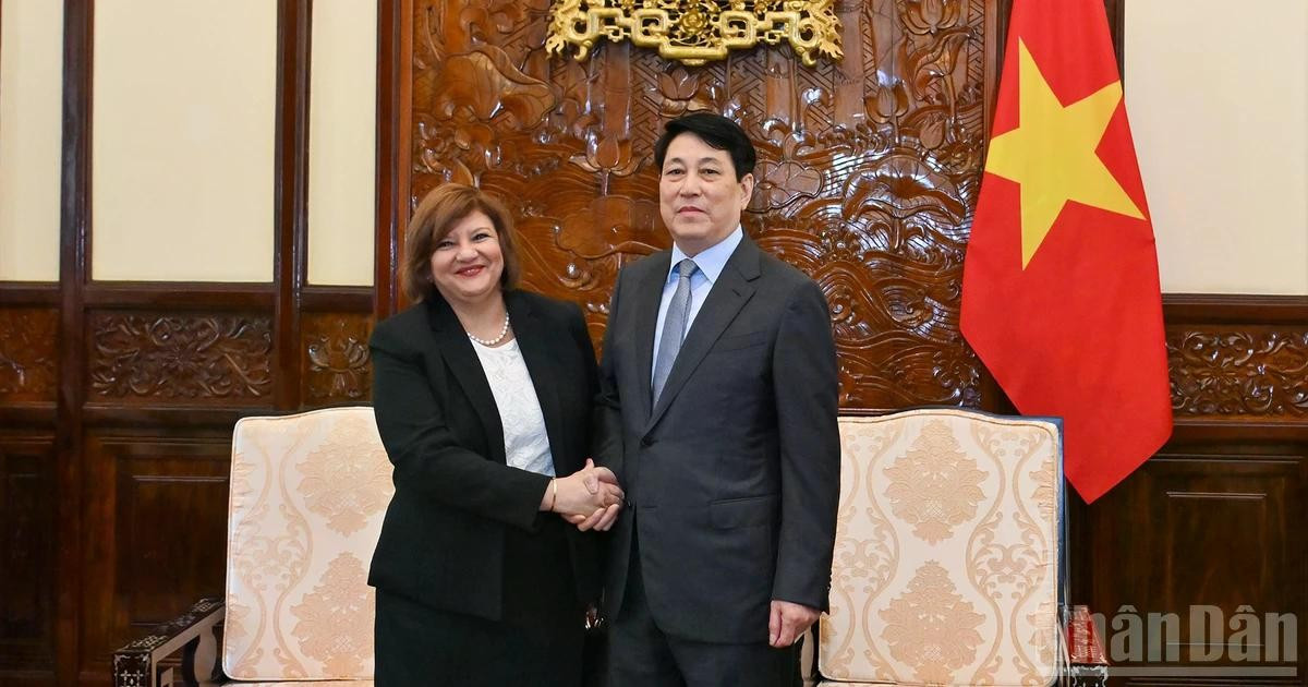 越南国家主席梁强与阿拉伯埃及共和国驻越大使阿玛尔·阿卜杜勒·卡德尔·艾尔穆尔西·萨拉马。