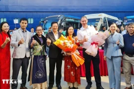 广宁省迎来今年邮轮旅游季首趟北海—下龙国际邮轮。（图片来源：越通社）